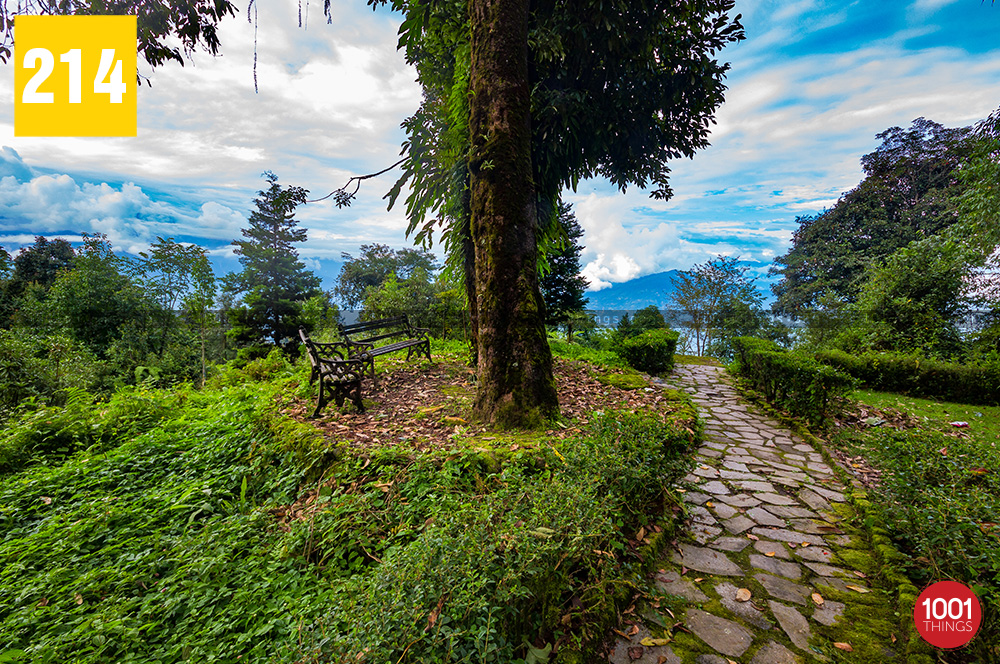 Walkways in State Biodiversity Park, Tendong, Sikkim.