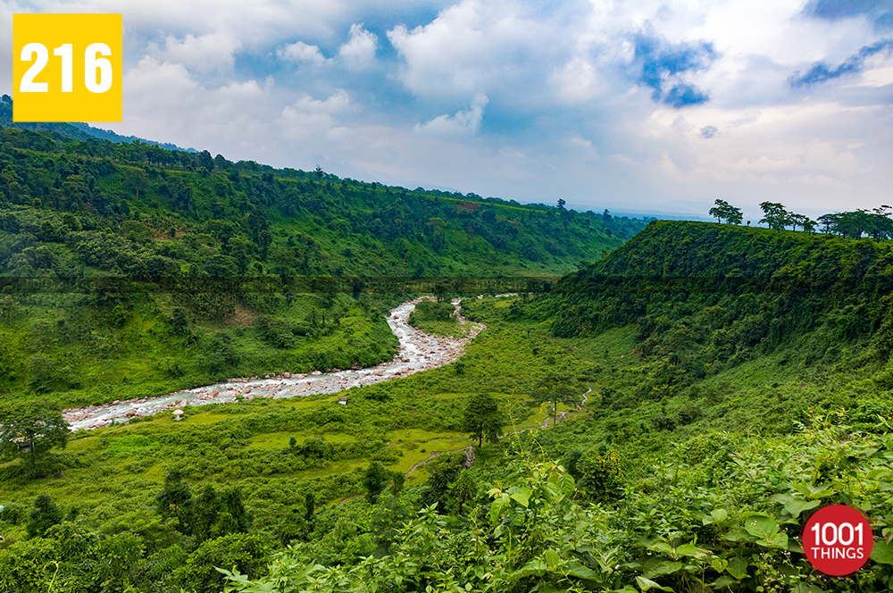 LaliGuras Picnic Spot Samsing || Dooars