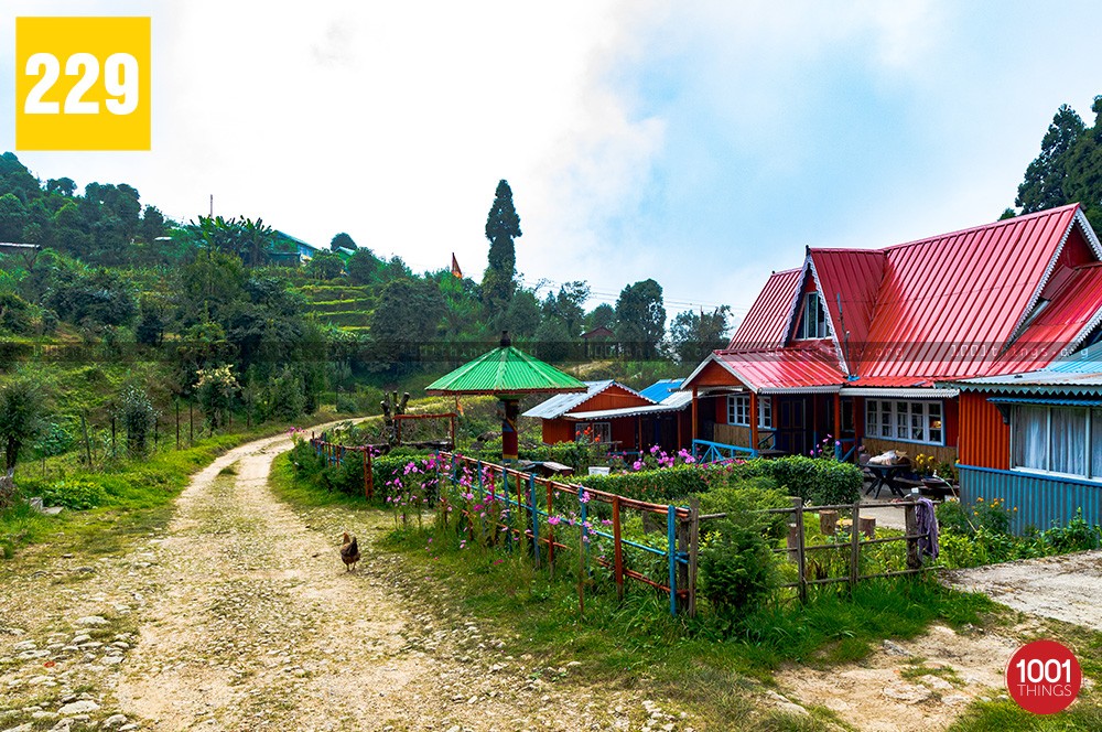 Chatakpur, Chatakpur Eco