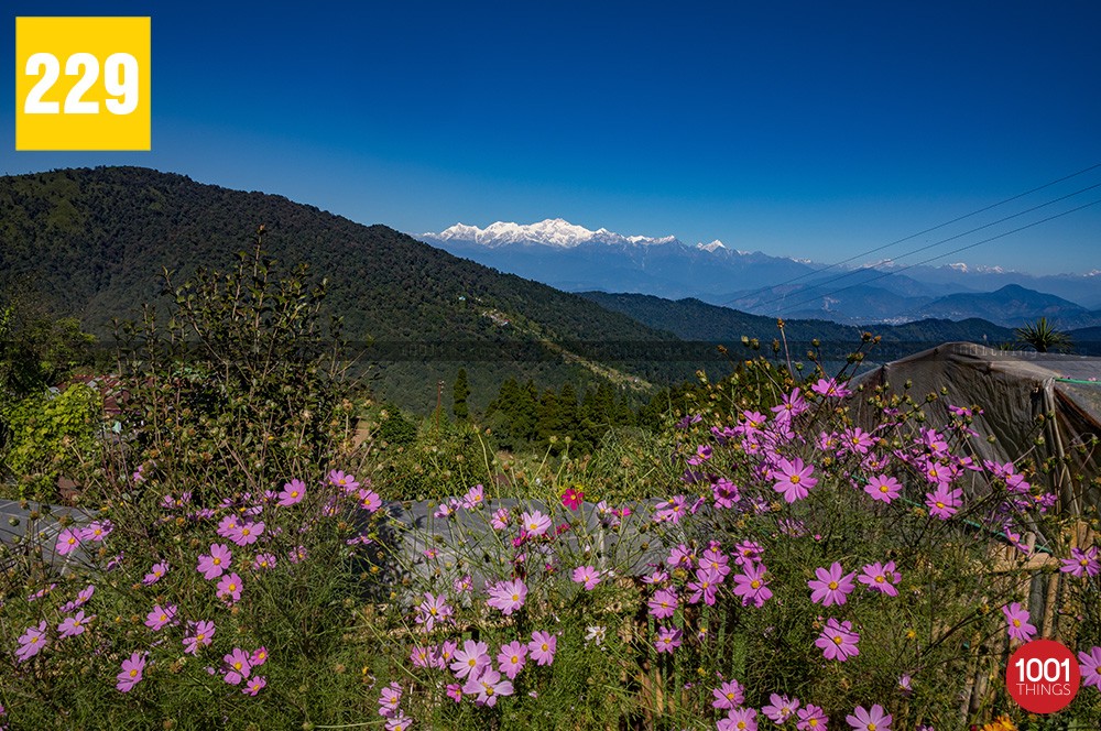 Chatakpur, Chatakpur Eco