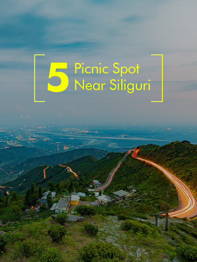 Top 5 Picnic Spots Near Siliguri