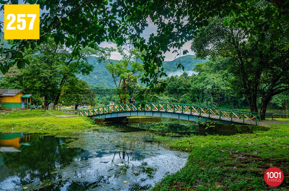 Iron bridge at Rohini lake