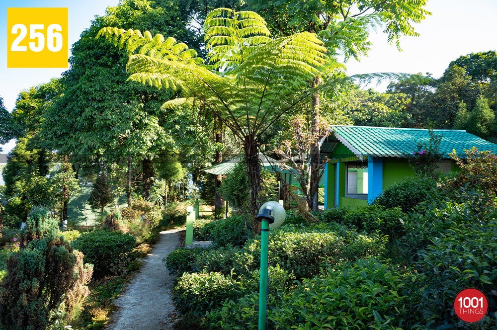 The small hut surrounded by greenery