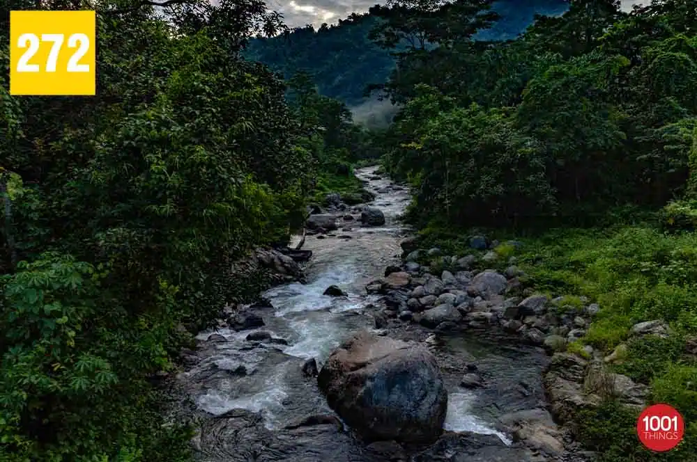 Highlights of the Trek