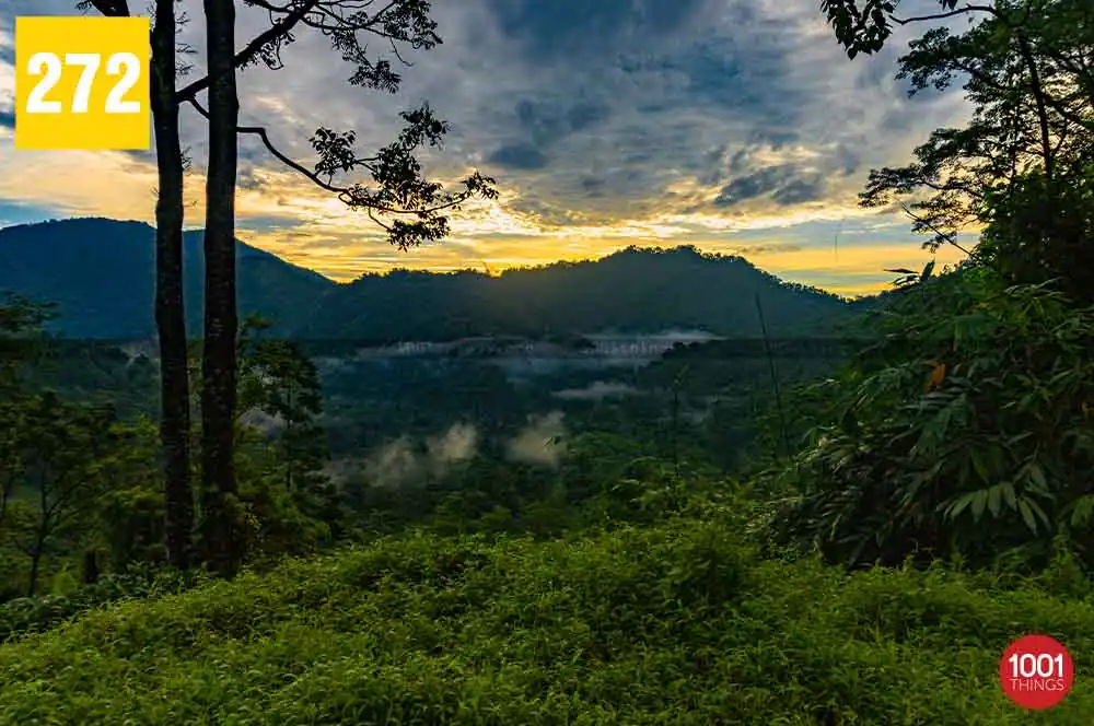 Shivkhola to Tindharia